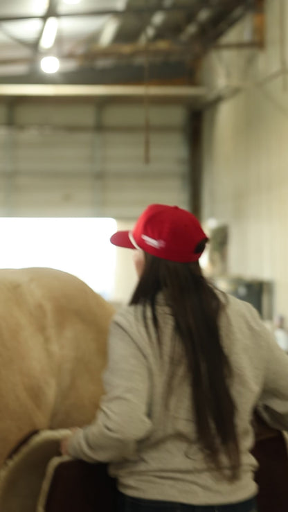 Pre-Order 𐙚 Rope Bow